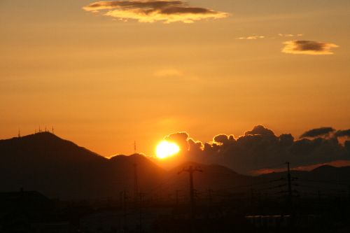 IMG_1312.jpg